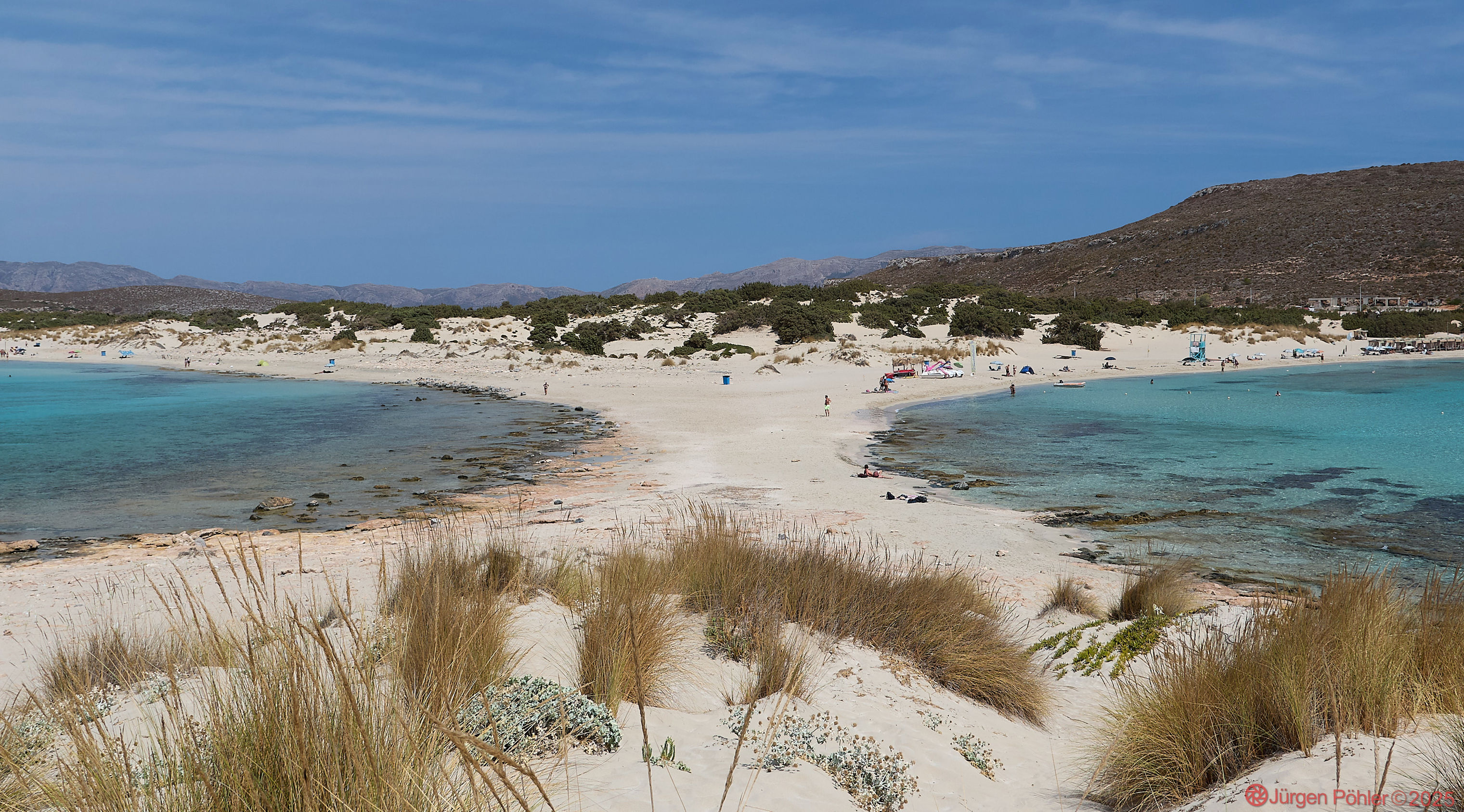 20240909 NIKON D500 124321